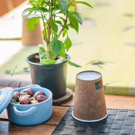 Dreamy Stone House * Pesádha